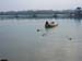 cani in acqua2